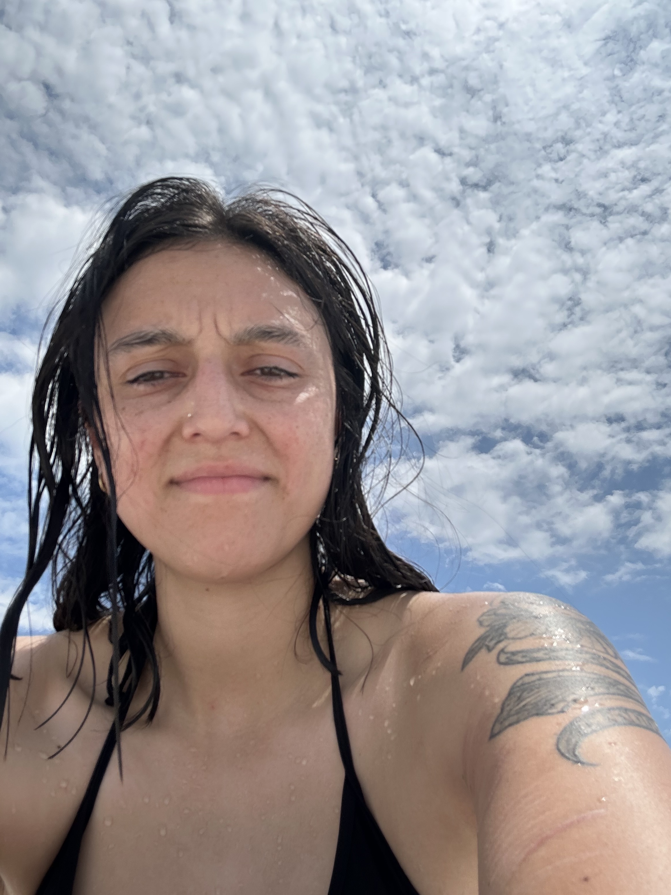 E9b53d20 9573 4df0 972a a8d07aee243c