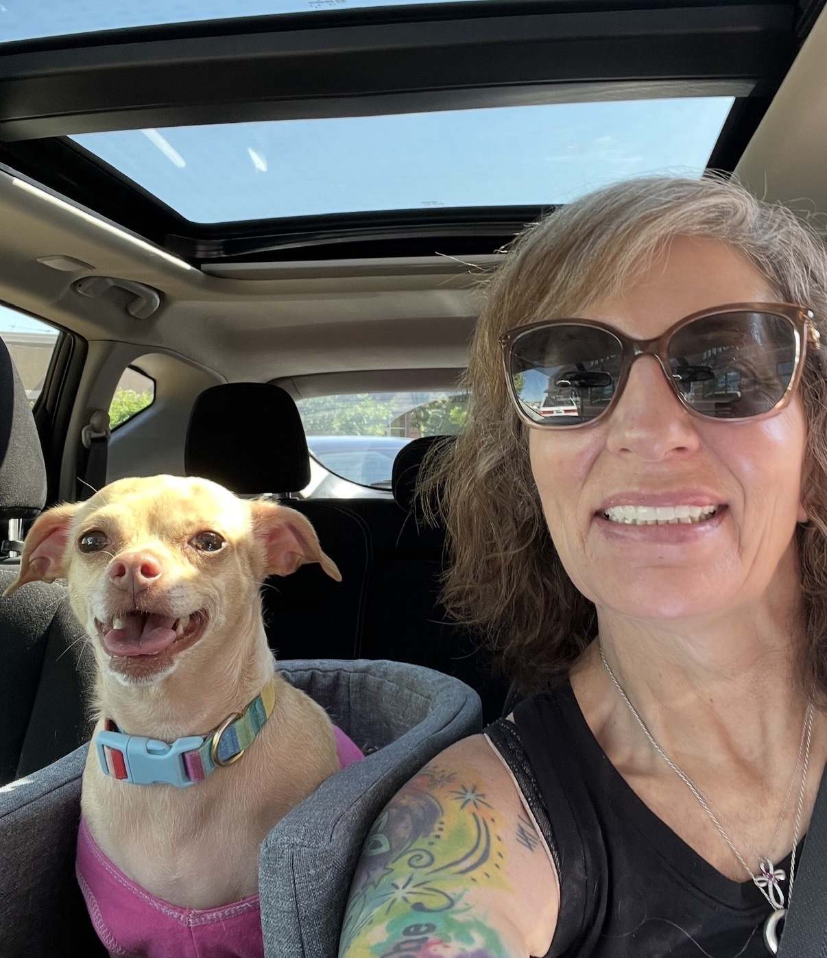 4aca306b f2e2 4250 ab60 06bc300538d7