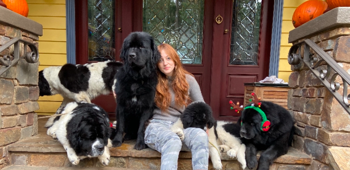 0164255a c0bd 48de 9ee3 3ead0b24d64b